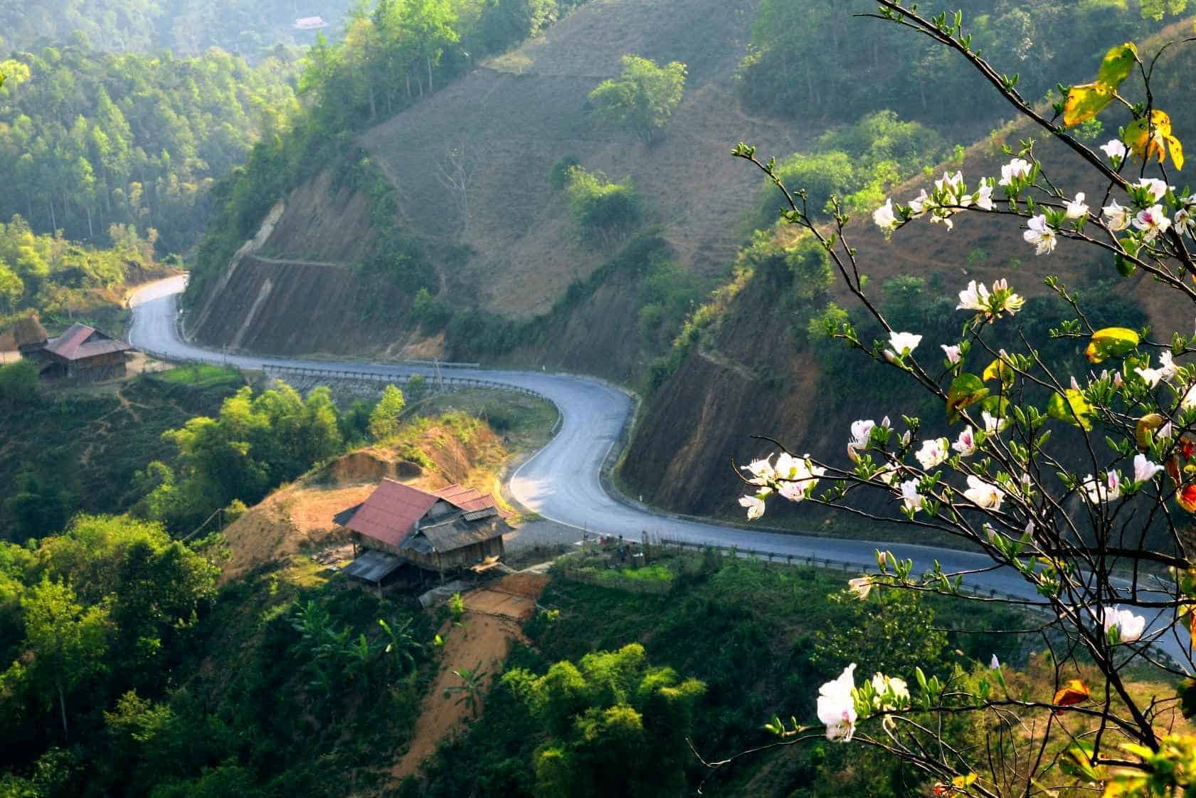 THAM QUAN ĐÈO PHA ĐIN